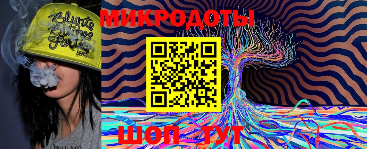 Клин  Галлюциногенные грибы прущие грибы  Вход с VPN 